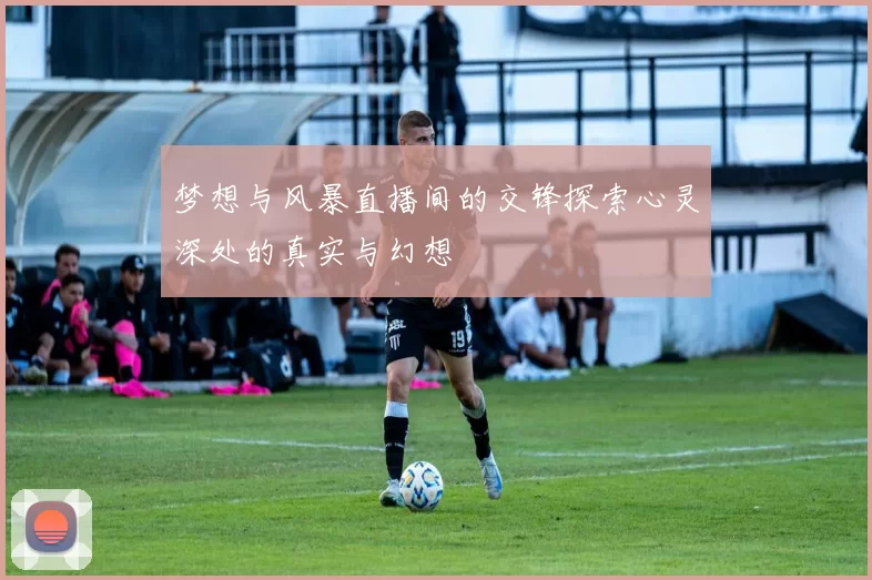 梦想与风暴直播间的交锋探索心灵深处的真实与幻想